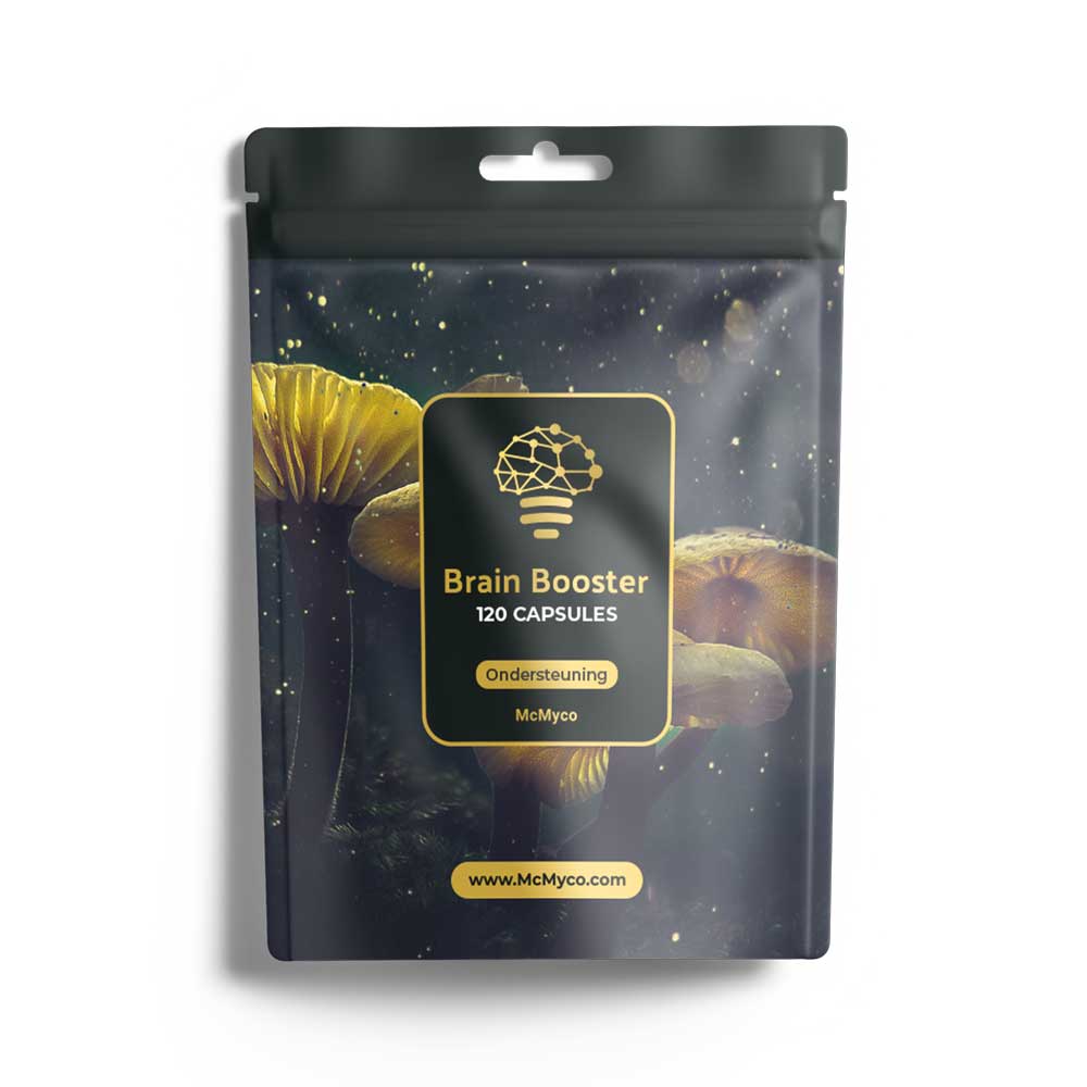 Brain Booster Kapseln – Bild 1